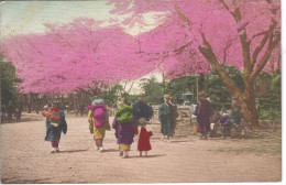 HAMAWAKI - JAPON - T.Belle Vue Animée Couleur De Passants Dans Un Parc - Autres & Non Classés