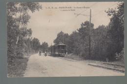 CP - 62 - Paris-Plage - Route D'Etaples à Travers La Forêt - Tramway - Other & Unclassified