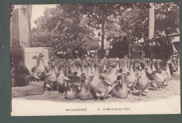 CP - 63 - En Auvergne - Marché Aux Oies - Otros & Sin Clasificación