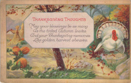 US Thanksgiving Post Card Color Illustration With Turkey - Other & Unclassified
