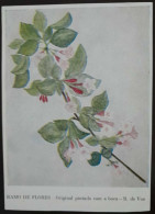 POSTCARD - Ramo De Flores Pintado Com A Boca Por R. De Vos Nº 901 - Não Circulado - Flowers
