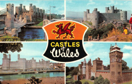 R298226 Castles Of Wales. Multi View. Dennis. Photocolour. No. 113 - Monde