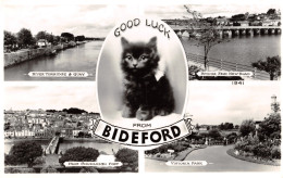 R298016 Bideford. Multi View. No. 1941. Dearden And Wade. Sunny South. RP - World