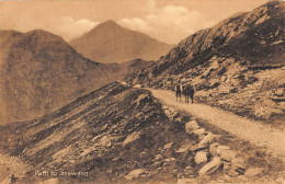 R298167 Path To Snowdon. 1911 - Welt