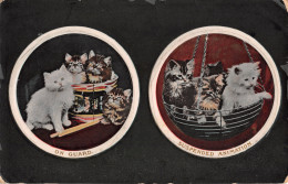 R298418 Cats. Multi View. Basket. Pot. On Guard. Suspended Animation. Wildt And - Monde