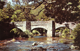 R298501 Fingle Bridge. Dartmoor. No. 2039 - World
