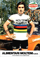 PHOTO CYCLISME REENFORCE GRAND QUALITÉ ( NO CARTE ), EDDY MERCKX TEAM MOLTENI 1974 - Cyclisme