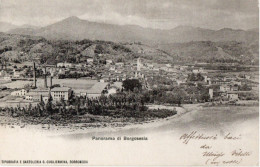 PANORAMA DI BORGOSESIA - F.P. - STORIA POSTALE - Vercelli