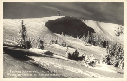 72139377 Feldberg Schwarzwald Waechte Am Seebuck Mit Bismarckdenkmal Feldberg - Feldberg