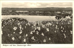 72139180 Schwenningen Neckar Moor Wollgras Villingen-Schwenningen - Villingen - Schwenningen