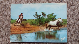 CPM CHEVAL CHEVAUX EN CAMARGUE GARDIAN A LA POURSUITE D UN CHEVAL ED ESTEL - Horses