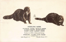 LAKE PLACID (NY) Sterling Mink Fur Farms - Also Ausable Chasm, N.Y. - Andere & Zonder Classificatie