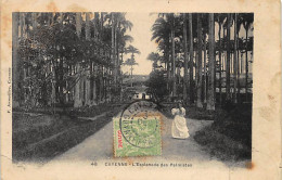 CAYENNE - L'Esplanade Des Palmistes - Ed. Jermolière 48 - Carte Décollée. - Cayenne