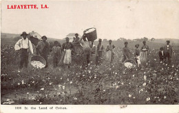 LAFAYETTE (LA) In The Land Of Cotton - Sonstige & Ohne Zuordnung