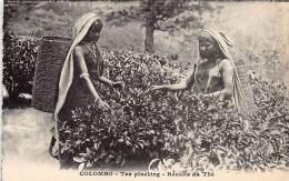 Sri Lanka - Tea Pluckers - Publ. H. Grimaud (no Imprint) - Sri Lanka (Ceylon)