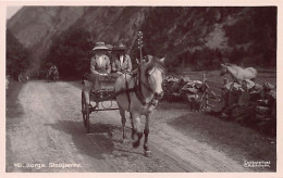 Norway - Stolkjaerre - Publ. C. A. Erichsen 461 - Norvège