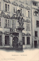 SCHAFFHAUSEN - Tell-Brunnen - Verlag Koch 234 - Schaffhouse