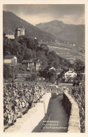 Suisse - MONTREUX (VD) Vignoble - Le Châtelard Et Les Rochers De Naye - Ed. Perrochet 12996 - Montreux