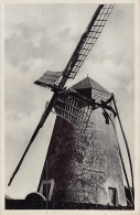 Açores - SÃO MIGUEL - Moinho De Vento - Windmill - Ed. TERRA NOSTRA 5 - Açores