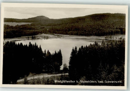 39664821 - Altglashuetten , Schwarzw - Feldberg