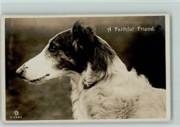 10532821 - Hunde A Faithful Friend , Gute - Perros