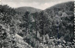 Belgium Oignies-en-Tierache La Vallee Du Ry De La Noye - Otros & Sin Clasificación