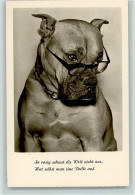 11030921 - Hunde Humor - Nr. 70833  Boxer - Perros