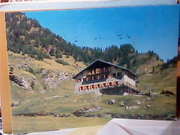 ALTA VAL PELLICE DINTORNI RIFUGIO WILLY JERVIS  VB1972 JW6621 - Otros & Sin Clasificación