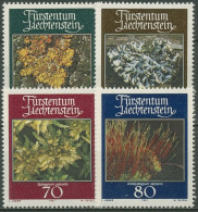 Liechtenstein 1981 Moose Flechten 776/79 Postfrisch - Unused Stamps