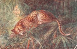 R298734 Leopard. George Rankin. Salmon. No. 777. 1915 - World