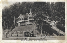 ROMANIA MUNTII ARGESULUI - VILLA FROM CUMPANA, BUILDING, ARCHITECTURE, PEOPLE, LOCOMOTIVE, DOGS - Roumanie