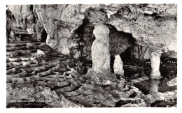 R298269 The Brixham Cavern. No. 8 - Wereld