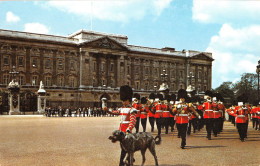 R298210 Buckingham Palace. London. Guards. Dog. No. 1029 - Autres & Non Classés