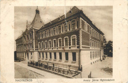 Postcard Hungary Nagykoros Arany Janos - Hungary