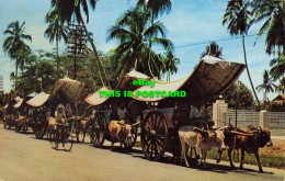 R615885 Bullock Carts. Malacca. A. S. M. K. 1960 - World