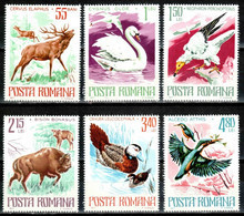 Romania 1977 MiNr. 3417 - 3422 Rumänien Birds Animals 6v MNH**  4.20 € - Vacas