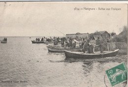 13 MARIGNANE  BATTUE AUX FOULQUES - Sonstige & Ohne Zuordnung