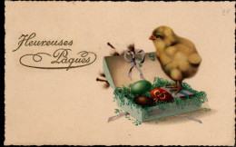 Poussin - Kuiken Met Doosje Paaseieren -chicken  - - Easter