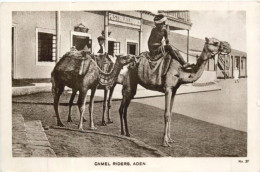 Aden - Camel Riders - Yemen