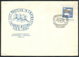 .Yugoslavia, 1960-06-19, Slovenia, Novo Mesto, Sport, Special Postmark & Cover - Other & Unclassified