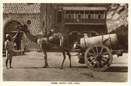 Aden - Camel Water Cart - Yemen