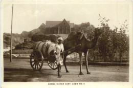 Aden - Water Cart - Yemen