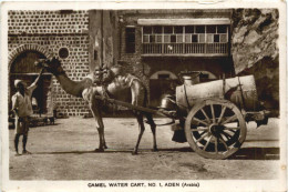 Aden - Camel Water Cart - Yemen