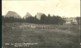 10556938 Alt St Johann Hag-Huette Silamatt X 1930 Alt St Johann - Otros & Sin Clasificación