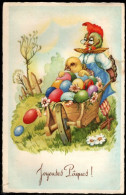 Poussin Humanisés - Dressed Chickens -kuiken En Haan  Met Eieren - Easter
