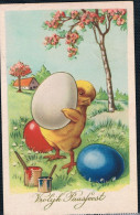 Poussin Humanisés - Dressed Chickens -kuiken Ei Verven - Easter