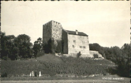 10556799 Schloss Habsburg Schloss Habsburg  X 1960 Habsburg - Sonstige & Ohne Zuordnung