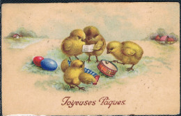 Poussins Humanisés - Dressed Chickens -kuikens En Muziek - Easter