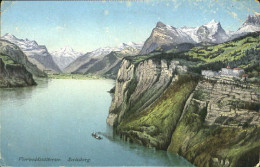 10556771 Seelisberg UR Seelisberg See Ungelaufen Ca. 1920 Seelisberg - Sonstige & Ohne Zuordnung