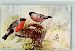 39611521 - Sign. Serivenet Maude Oilette British Birds Series III. No.9303 Gimpel - Autres & Non Classés